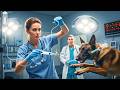 They Dismissed the Quiet Nurse — Until Her Dog Stopped a Deadly Injection