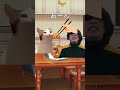 無痛分娩レポ① #shorts #猫ミーム