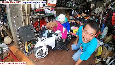 buy a new car give of dog walking on two leg su xi xon | bong be bong | miu mum mim