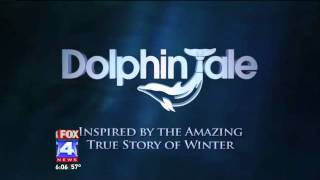 Dolphin Inspires Metro Girl