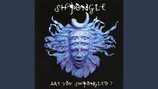 …And The Day Turned To Night - Shpongle