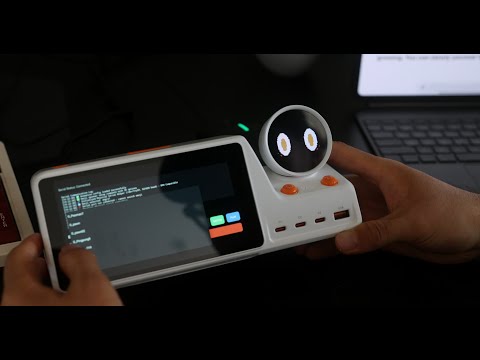 ZVBear: The Hidden Potential