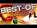 Bestof dingus 26 among us