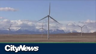 Solar developments won’t take up significant farmland: UCalgary Research