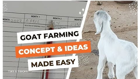 Goat Farming Management made simple!