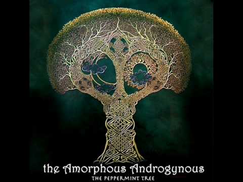 Amorphous Androgynous - Riders (On The Circadian Rhythms)