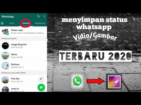 Cara menyimpan status WhatsApp vidio/gambar - YouTube
