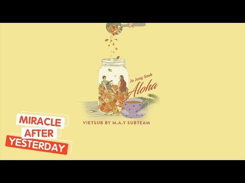 「Vietsub / Lyrics」 Aloha (아로하) - Jo Jung Seok (조정석) | Hospital Playlist OST Part.3