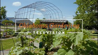 Oklahoma Gardening May 25, 2024