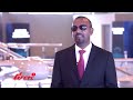 "የመከላከያ ተሳትፎ እስከ ምን ድረስ ይሆን?"