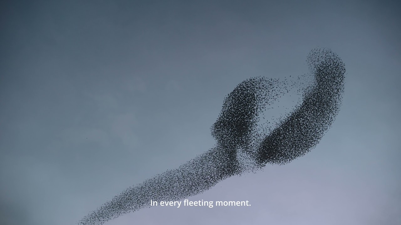 adidas Sustainability Video FULL