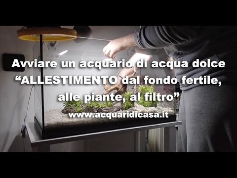 Video: Come Installare Il Terreno In Un Acquario