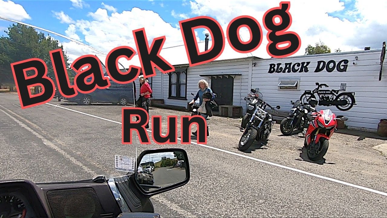The Black Dog Run