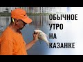 Обычное утро на Казанке. Ловля лещей на фидер патереностер, инлайн. Рыбалка в жару.  on the Kazan