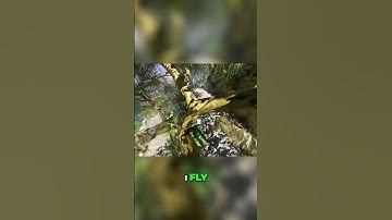 CoD Ghost Infected Glitches & spots trickshot out of map old school