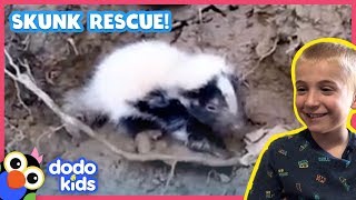 Baby Skunks Get Lost — Stinkiest Rescue Ever! | Animal Videos For Kids | Dodo Kids: Rescued!