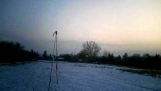 Gemini on ski - short