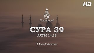 Сура: Аз-Зумар (Толпы) Чтец: Tareq Mohammed