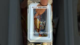 ゴチュールの車載冷蔵庫#shorts #キャンプ #車中泊