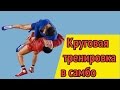 Круговая тренировка в самбо