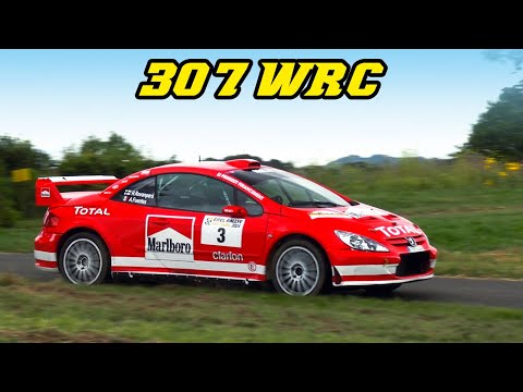 Word Rally Car Top 3 2004 - 307 WRC / Xsara WRC / Impreza WRC - 1/43 by
