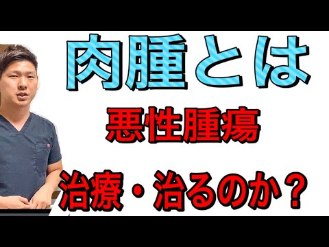 【肉腫】とは、わかりやすく解説します。理解したい方向けの動画です