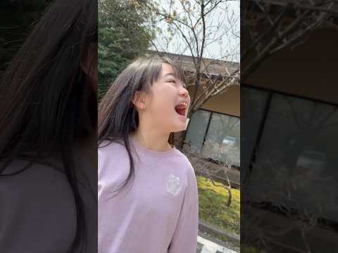 お花見🌸Cherry blossoms #shorts #funny #comedy