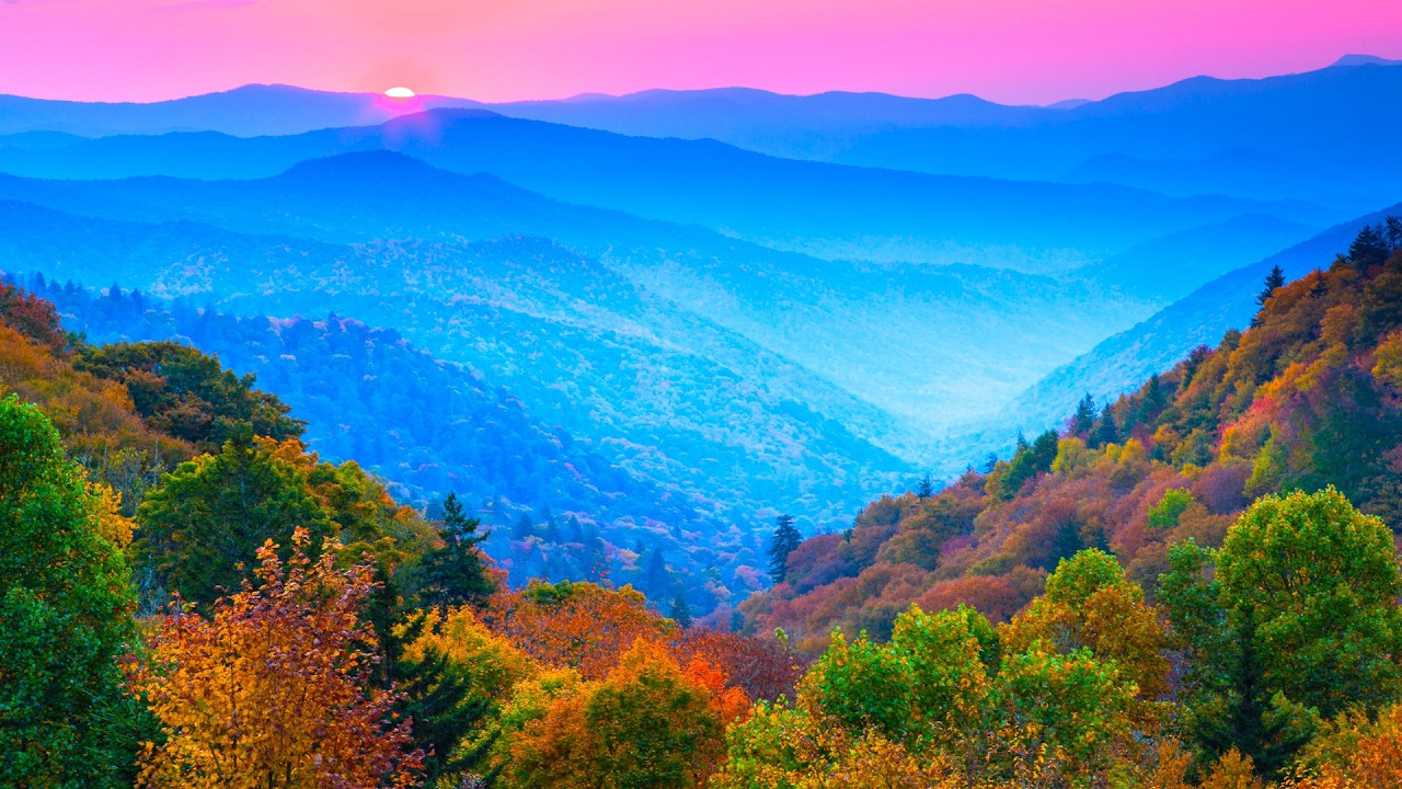 "Floating Autumn Leaves" Beautiful Relaxing Music, Peaceful Soothing Instrumental Music by Tim Janis