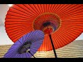 知床旅情(日曲-美空雲雀&加藤登紀子)-凌因-手風琴演奏-林釗弘攝影-2024 08 01