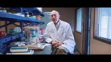 Discovering the Omega 3 Index