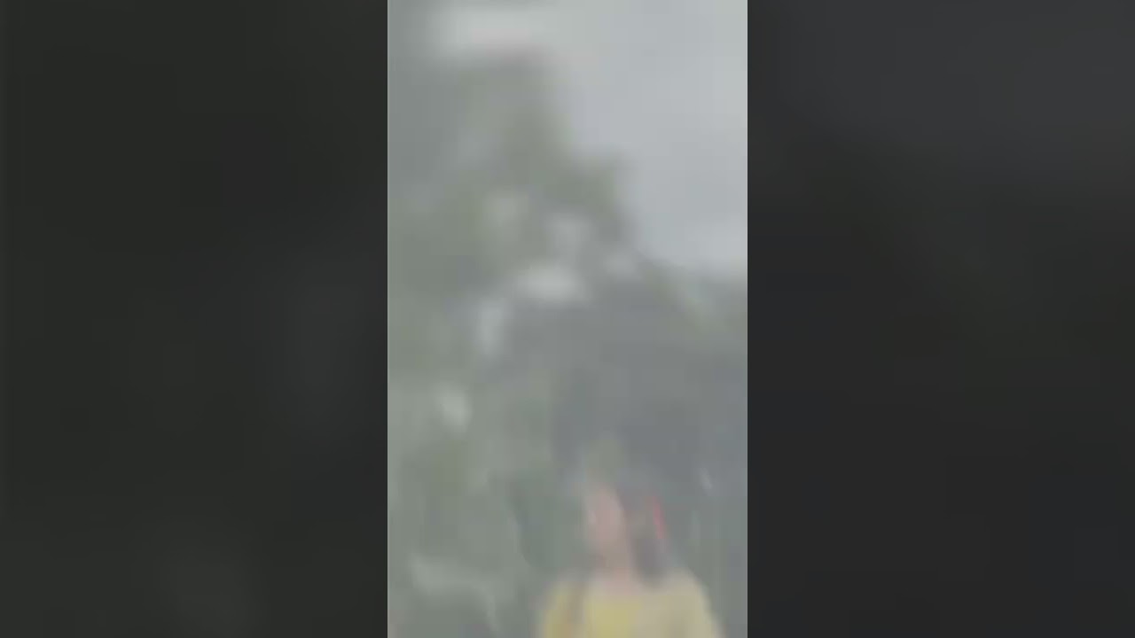 one video and 7 photo