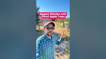 Biggest mistake with dwarf apple trees #Shorts #FruitTrees #GrowYourOwnFood #AppleTrees #Plants ￼