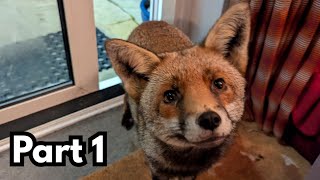 Heidi's here for another loooong visit! (Part 1)