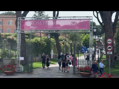 Video Torna a fiorire il Giardino delle Rose affacciato sul Circo Massimo a Roma, riapre fino al 14 giugno