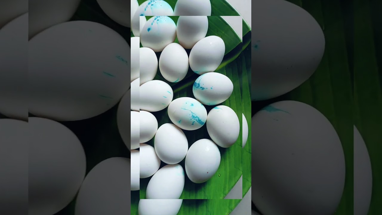 Anganwadi@eggs@short@like@👍