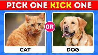 Pick One Kick One Animals  Quiz World Z