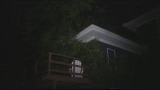 Tree falls on home in Vanderburgh County