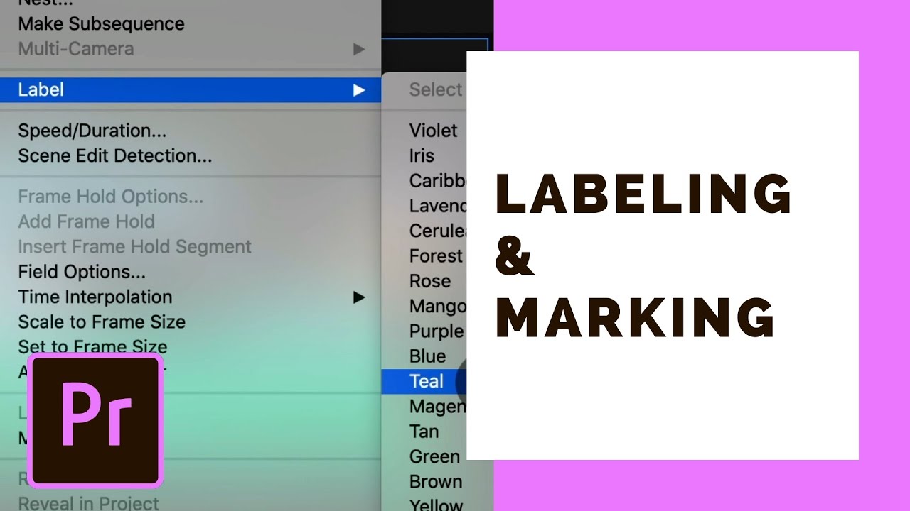 Marking & Labeling Shots | Premiere Pro Organization Tips