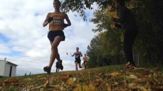 HIGHLIGHT REEL Cedarville XC 2016