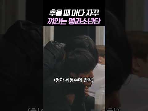 추울 때 마다 자꾸 껴안는 펭귄소년단 thumbnail