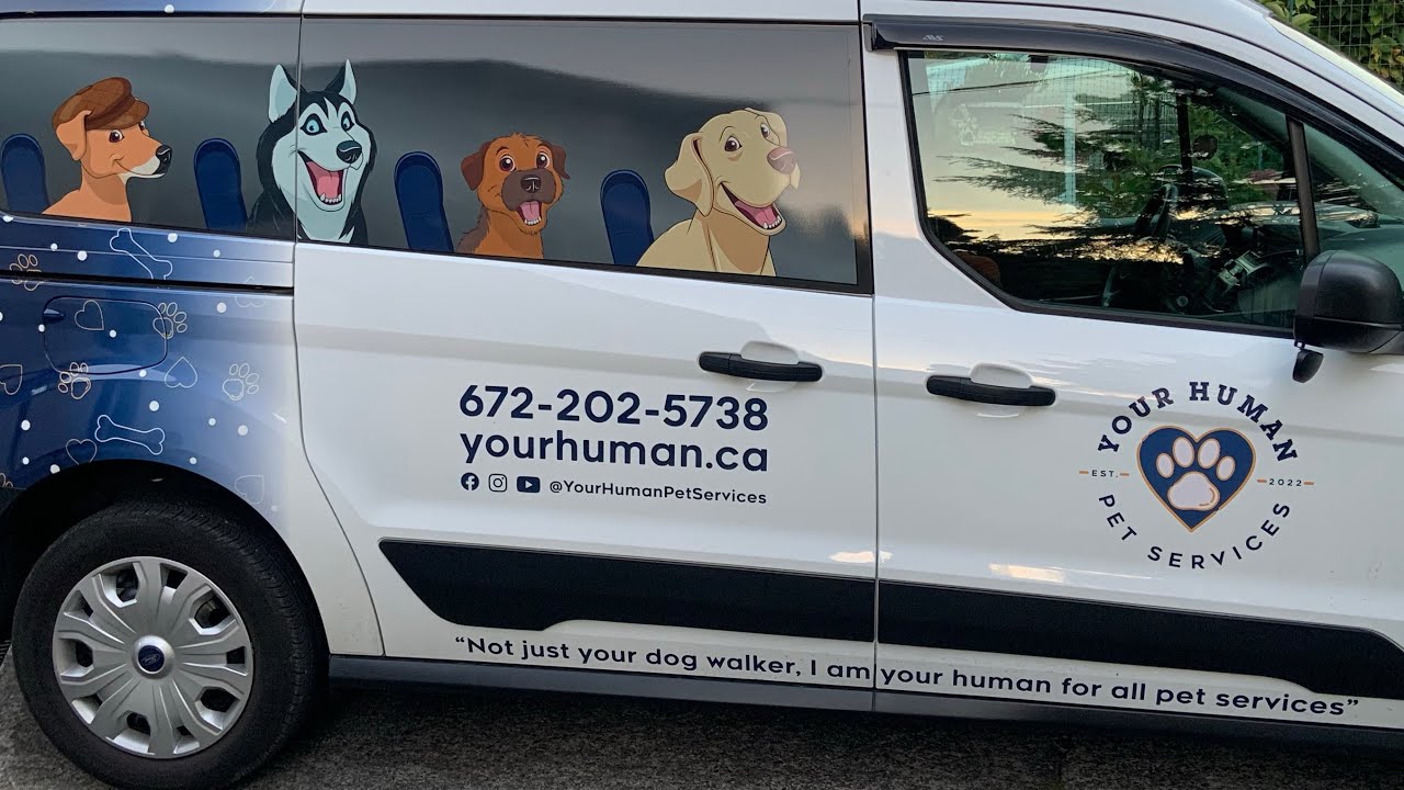 Introducing Your Human Pet Services Ford Connect (Pet Taxi)