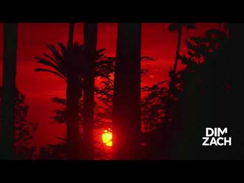 Johnny B. Goode (Dim Zach edit)