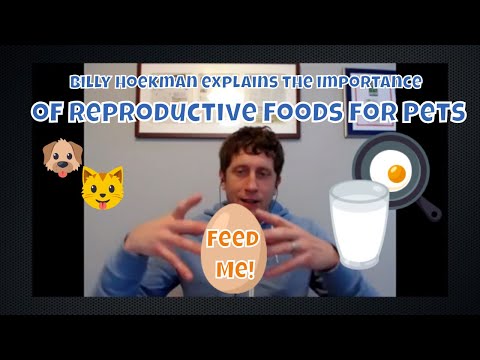 billy-hoekman-of-answers-pet-food-explains-we-should-feed-reproductive-foods-to-pets-#nrfw2019