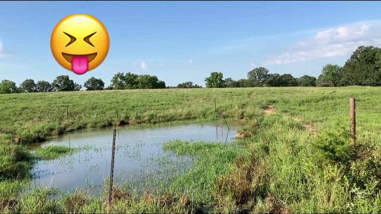 Continuous Grazing or Rotational? You Decide YouTube