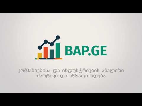 BAP.GE | Business Analytical portal
