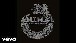 A.N.I.M.A.L - Decididos a Crecer (Pseudo Video)