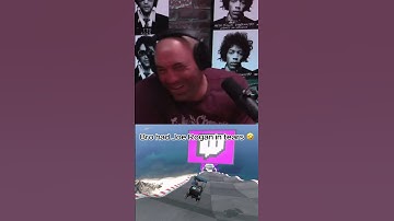 Steve-o Joe Rogan funny moment