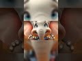 Googly Woogly Elephant's SUPER FUN Jungle Dance! 🥳🐘🎶 Kids Song &amp; Play!#song#kahani #kidssongs #viral