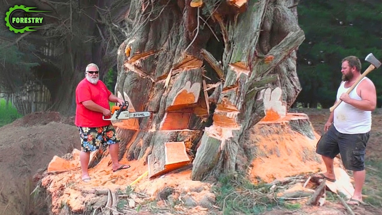 Idiots With Chainsaws: Tree Cutting Fails | Extreme Dangerous Logging Truck Fails #32