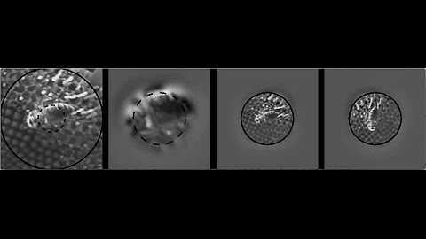 Spike Domain Identity Preserving Transformations